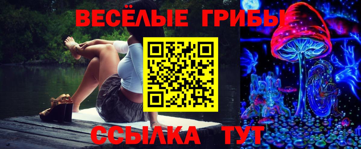 Псилоцибиновые грибы Psilocybe  Псилоцибиновые грибы ЛСД  Вход с VPN  Дзержинск 